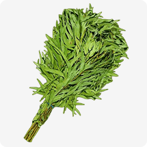 Eucaliptus Whisk