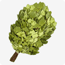Birch Whisk